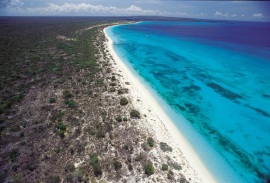 BAHIA DE LAS AGUILAS1
