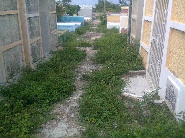 10622871_686089658149722_2570009211934605222_n