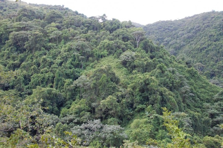 Loma-Miranda-e1342639461998