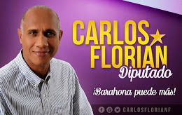 Carlos Florian Diputado