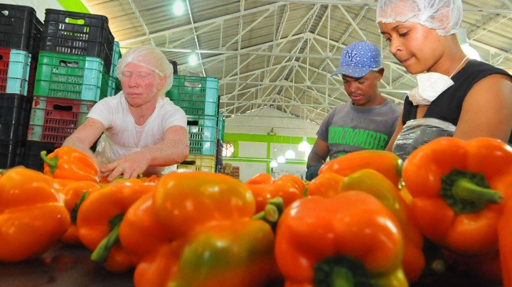 constanza-exp-1300x731-portada