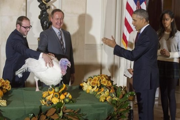 obama pavo