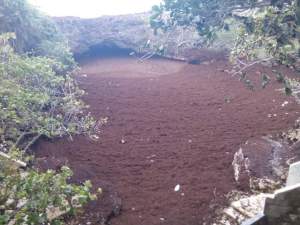 FB_IMG_1440953248569