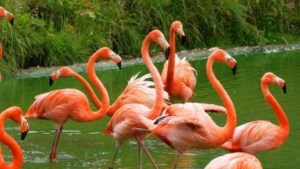 a338f95f-c09c-4e7a-ae27-7dbd6eddec16-jpg__778__440__cropz3x778y440