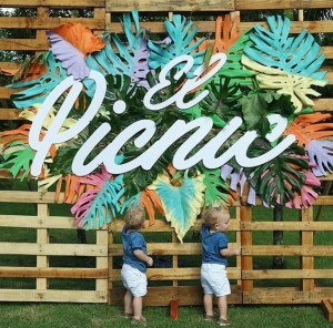 el-picnic-sera-celebrado-en-la-unphu